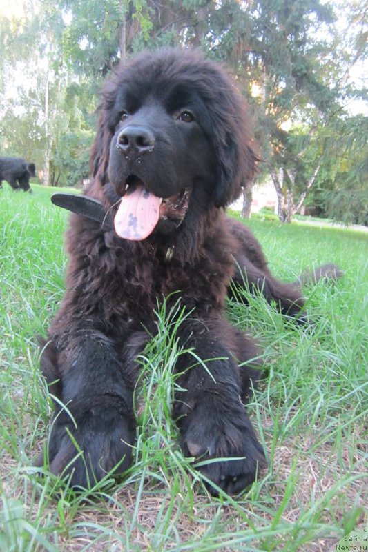 Фотография № 165537