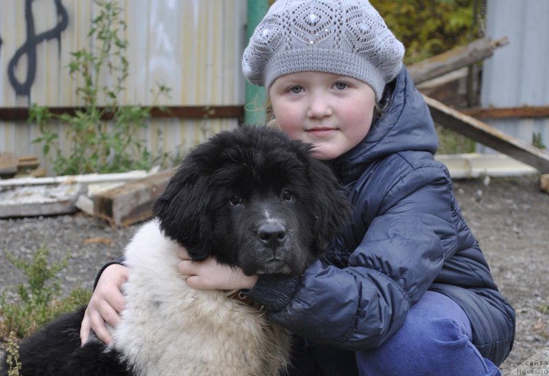 Фотография № 165539