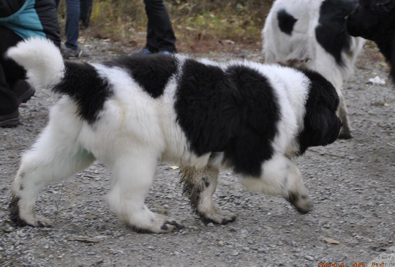 Фотография № 165541