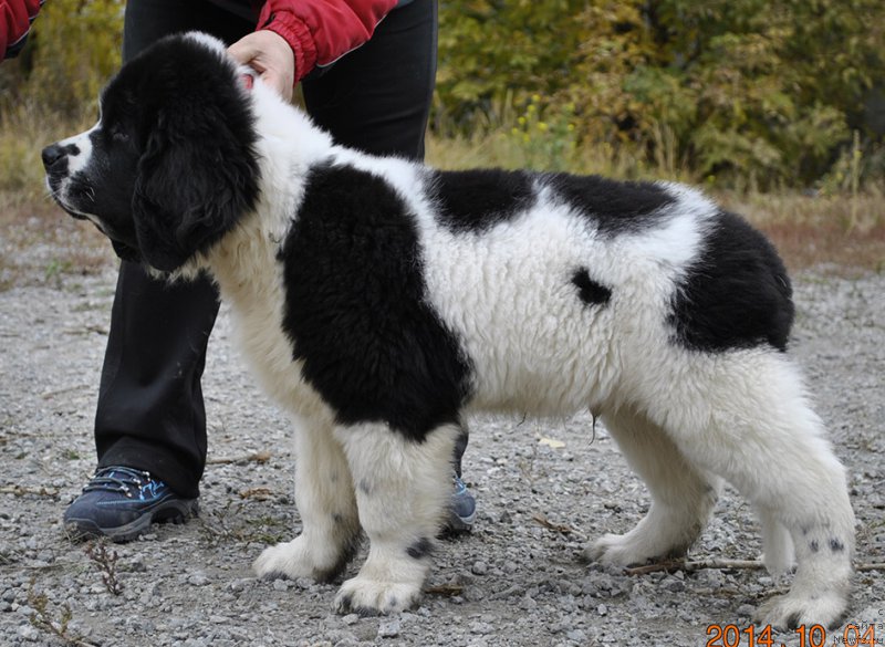 Фотография № 165542