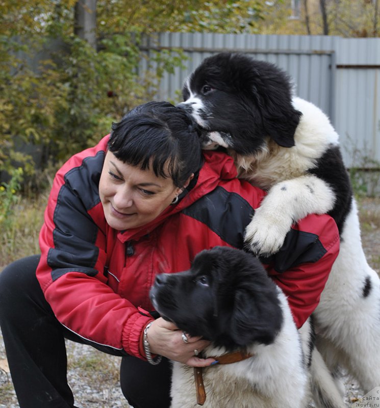 Фотография № 165547