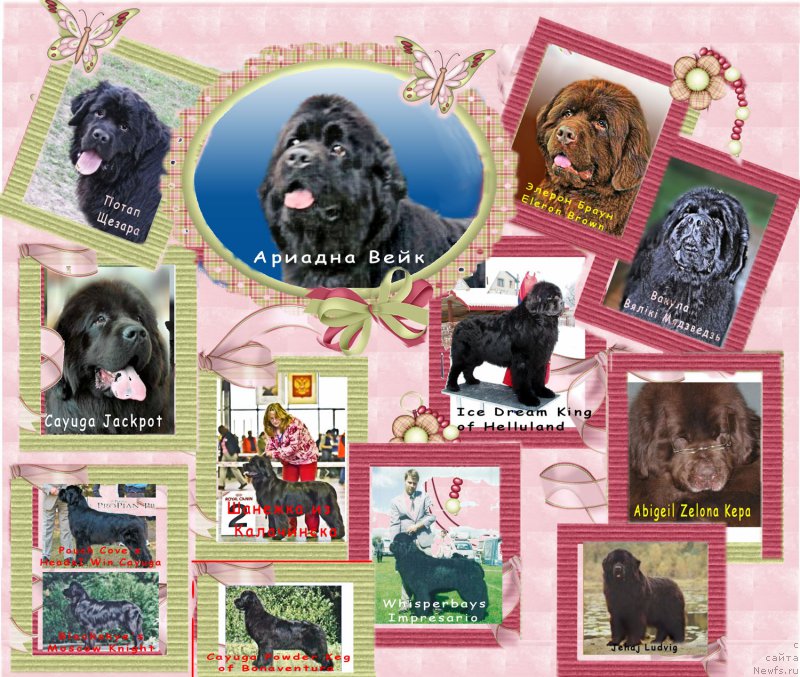 Фотография № 165554