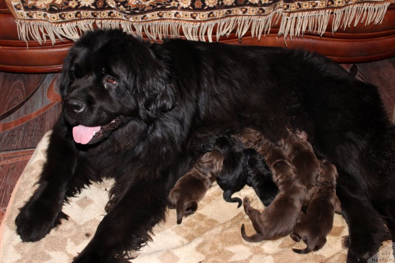 Фотография № 165555