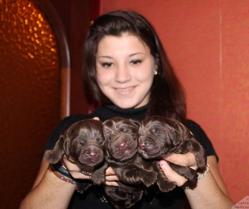 Фотография № 165559