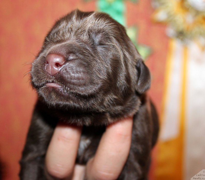 Фотография № 165564