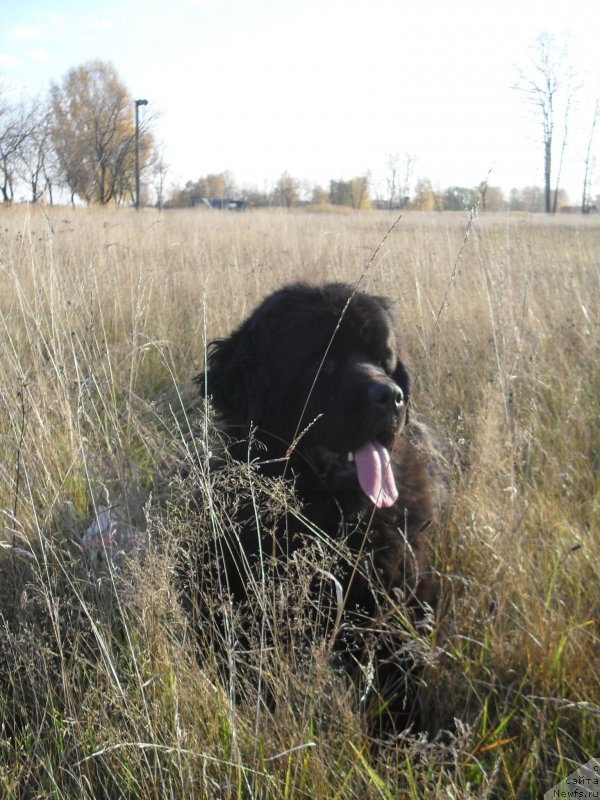 Фотография № 165584