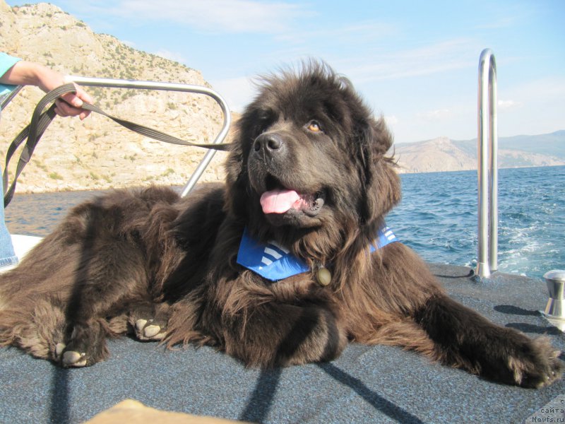 Фотография № 165586