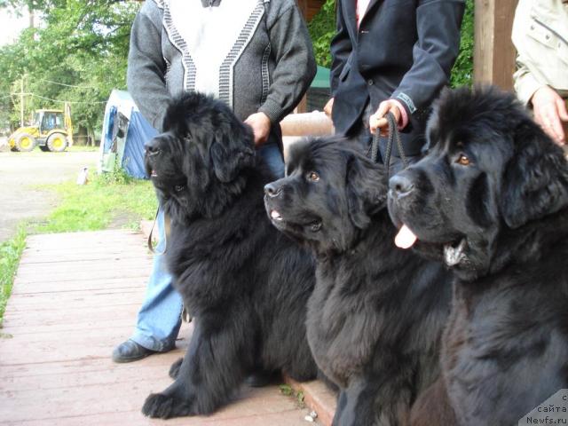 Фотография № 16559