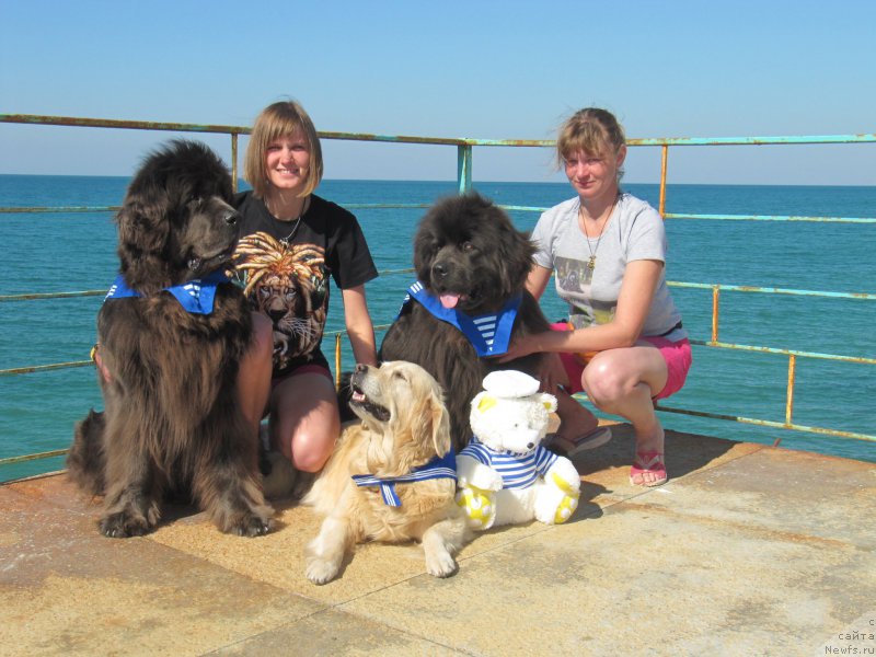 Фотография № 165637