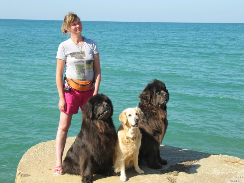 Фотография № 165640