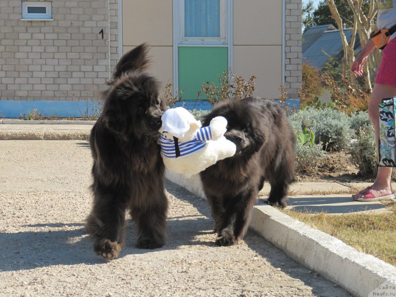 Фотография № 165642