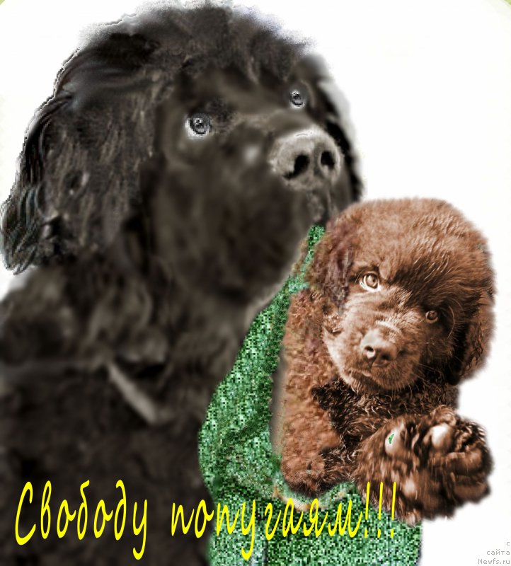 Фотография № 165647