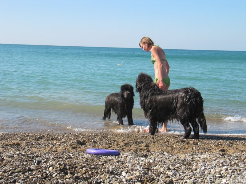 Фотография № 165696