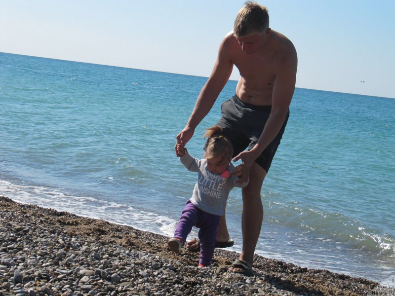 Фотография № 165702