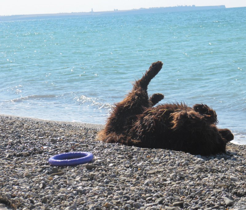 Фотография № 165703