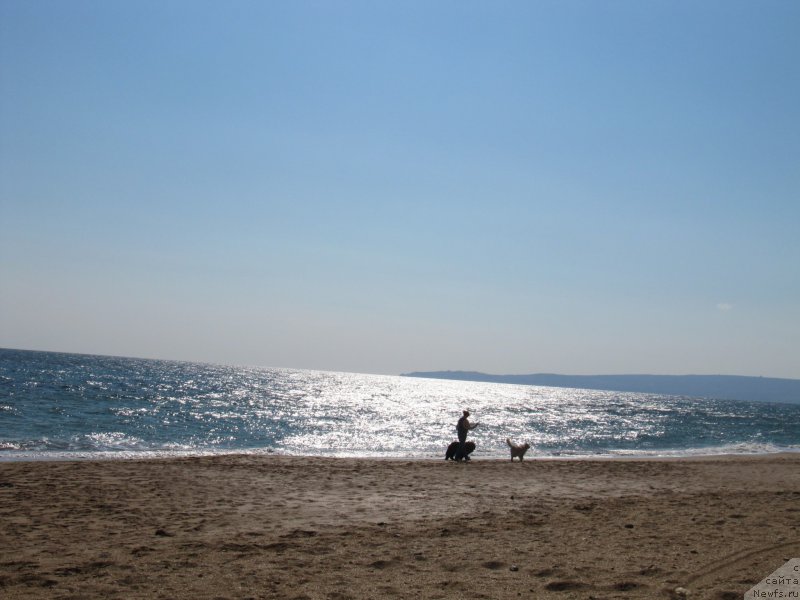 Фотография № 165704