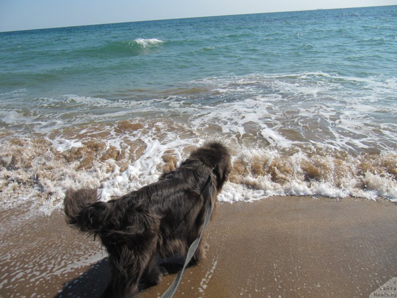 Фотография № 165705