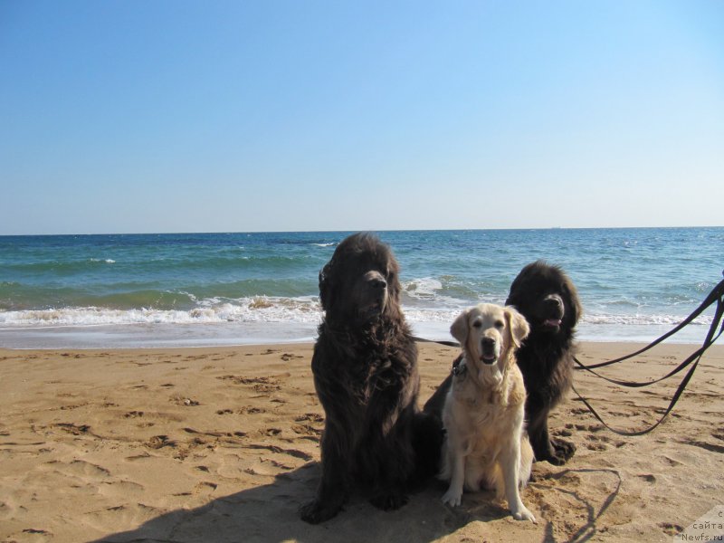 Фотография № 165707