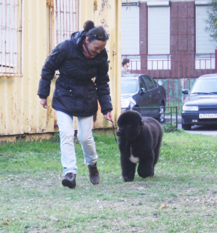 Фото: Бегущая по волнам Чарт Топпер