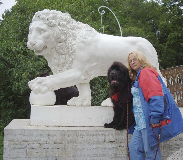 Фотография № 16577