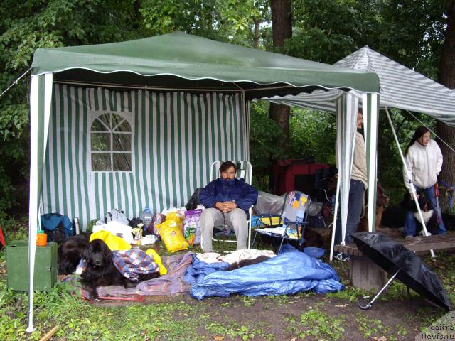 Фотография № 16579