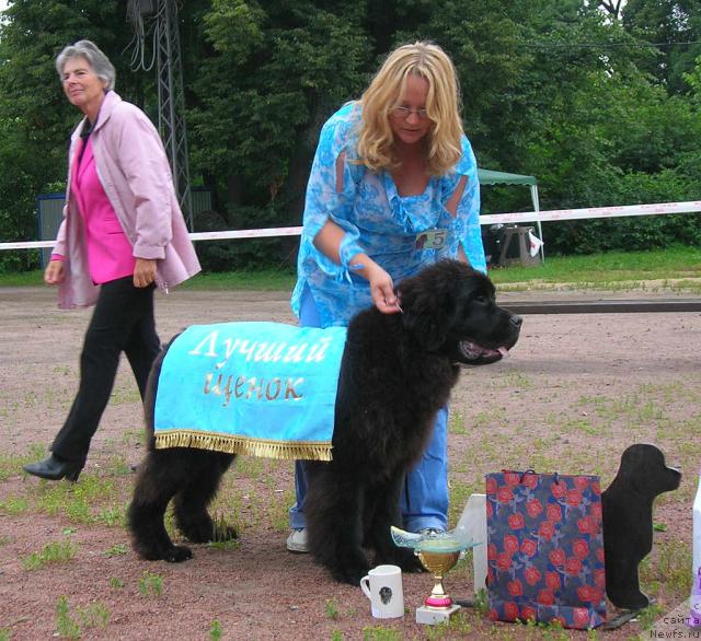 Фотография № 16580