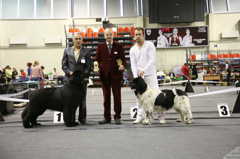 Фотография № 165817