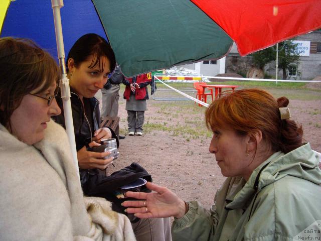 Фотография № 16583