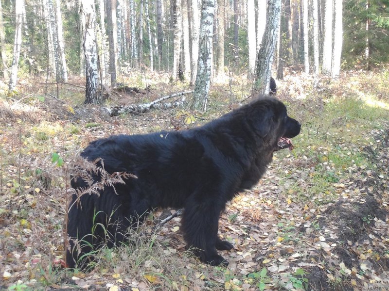 Фотография № 165845