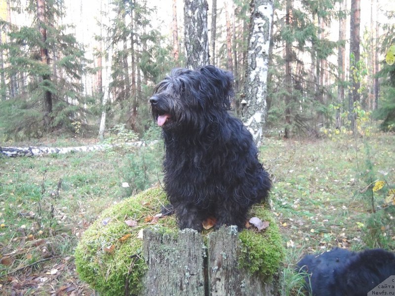 Фотография № 165849