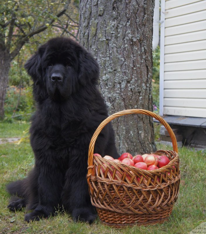 Фотография № 165857