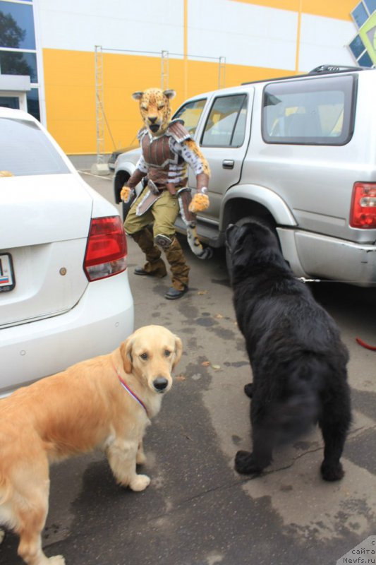 Фотография № 165865