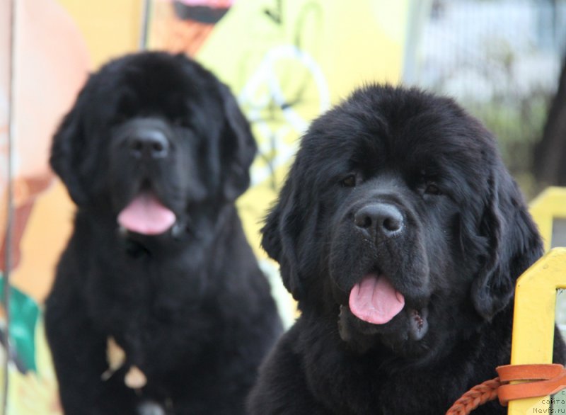 Фотография № 165887