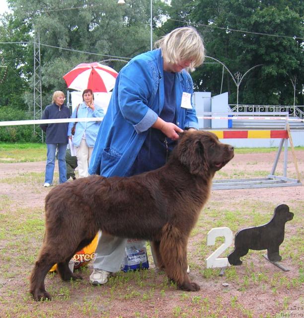 Фотография № 16589