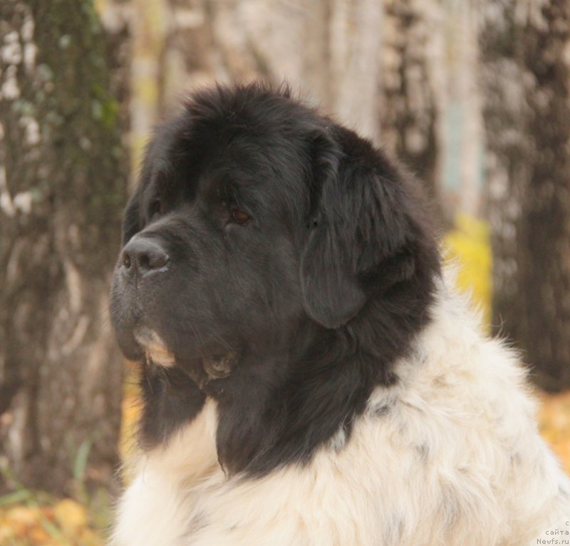 Фотография № 165893