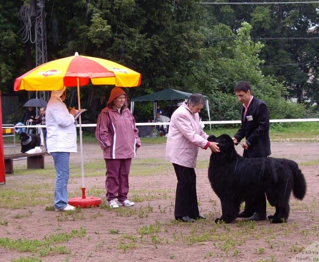 Фотография № 16590