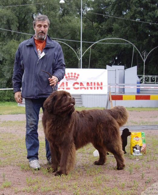 Фотография № 16592