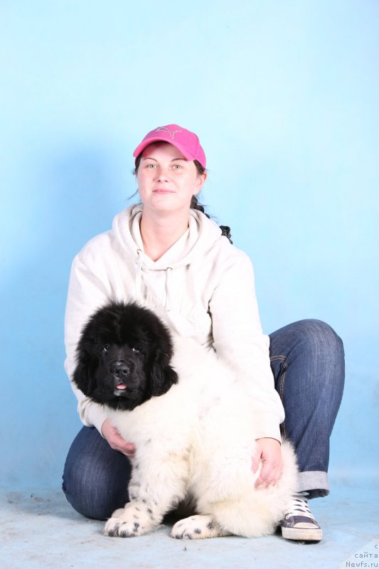Фото: YUliya Careva (Юлия Царева), ньюфаундленд Skazochnaya Kroha SHarman (Сказочная Кроха Шарман)
