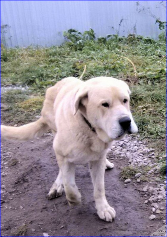 Фотография № 165950