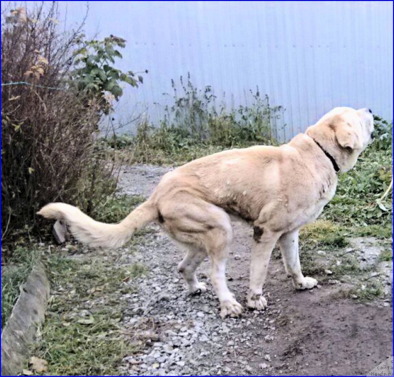 Фотография № 165951