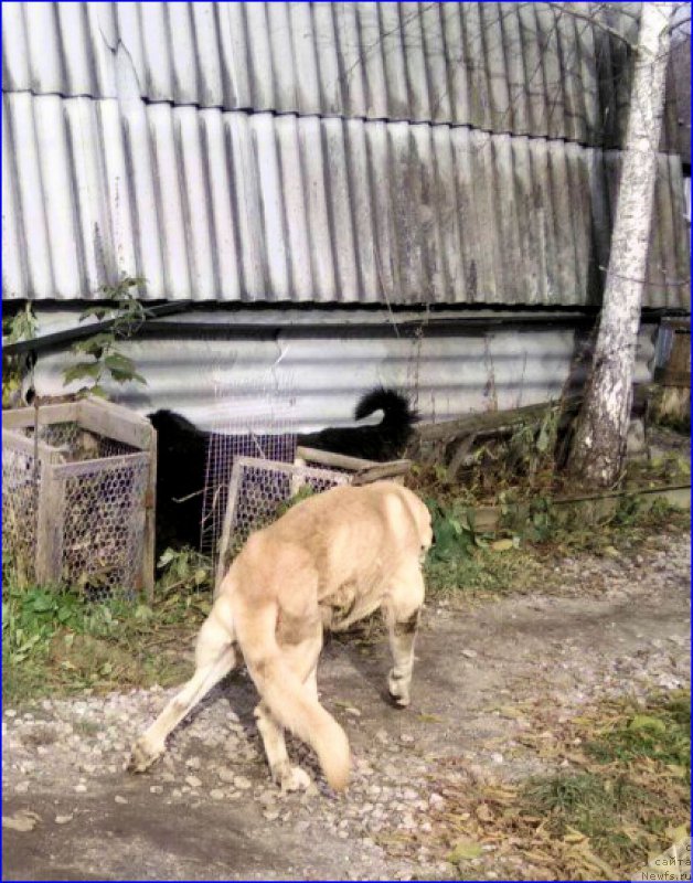 Фотография № 165953