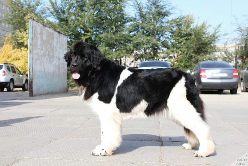 Фотография № 165958