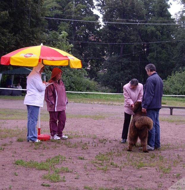 Фотография № 16596