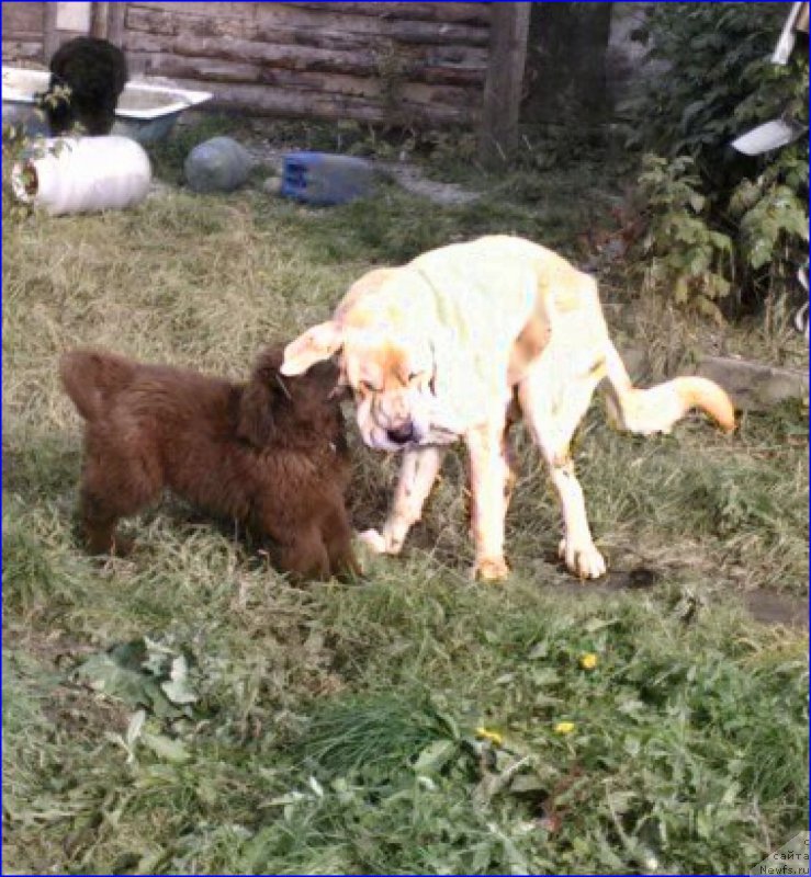 Фотография № 165961