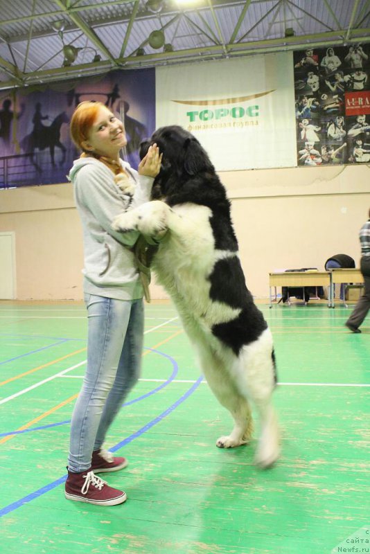 Фотография № 165963