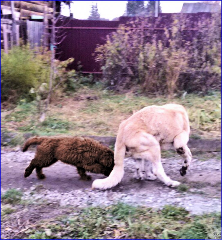 Фотография № 165965