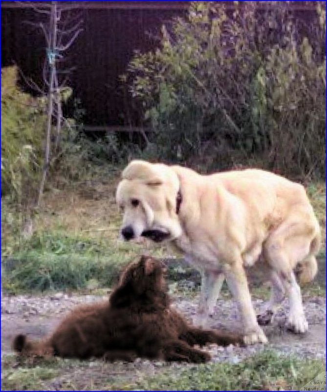 Фотография № 165974