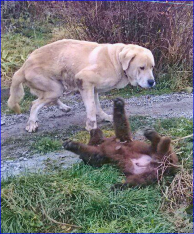 Фотография № 165976