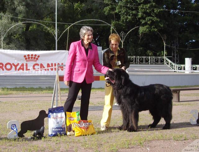 Фотография № 16598