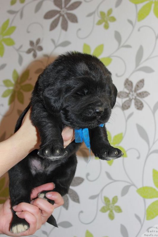 Фотография № 165994